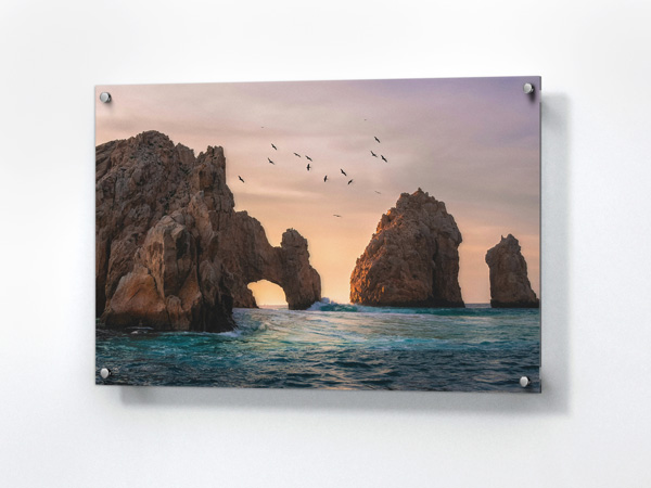 Nature-themed acrylic photo print with an image of a flock in the sky.