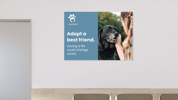 A pet adoption foam board poster encouraging people to adopt a pet alongside an image of a girl petting a dog.