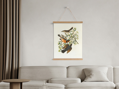 Bird illustration wall art in wooden frame hanger above modern sofa